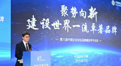 中国挪动品牌价值